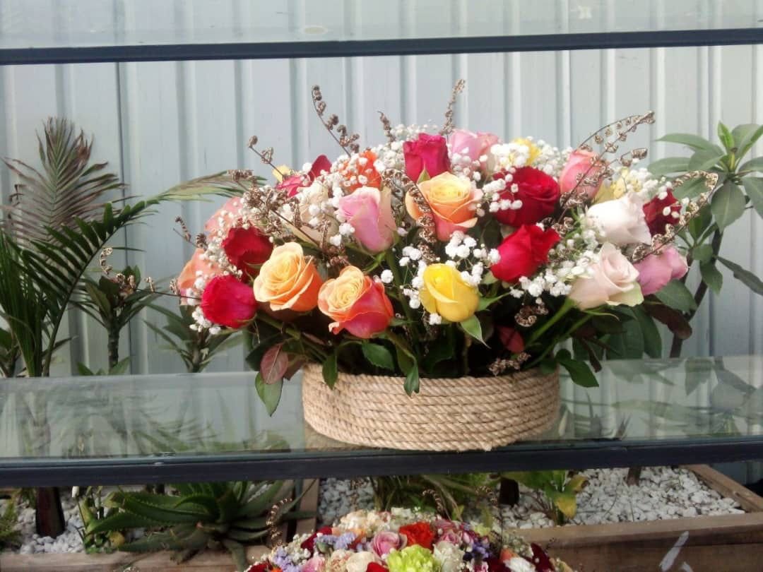 By Occasion (Gifting)