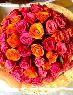 Hot Pink, Orange Roses