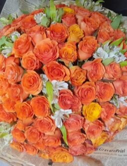 Orange Roses