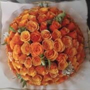 Orange Roses