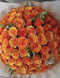 Orange Roses