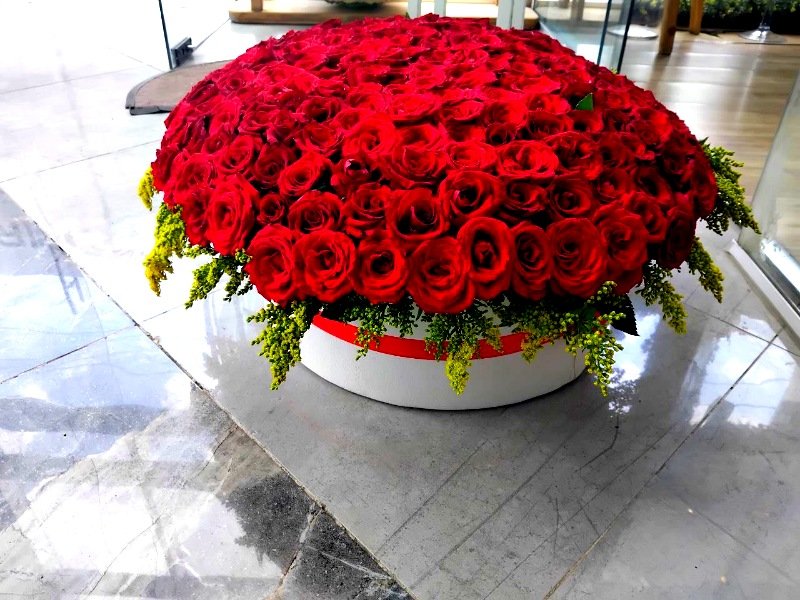 Red Roses 3 Red Roses 3