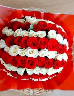 Red and White Roses