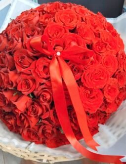 Red roses with Revan