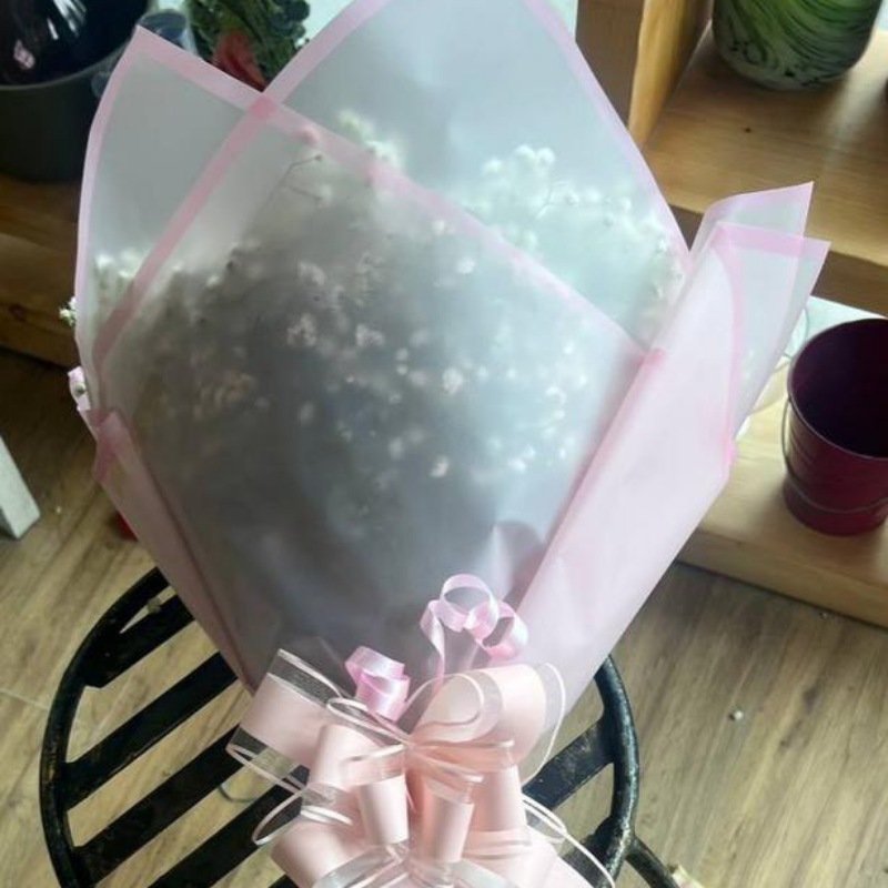 Roses Red and Pink and White 1 Roses Red and Pink and White 1