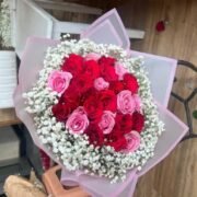 Roses Red and Pink and White