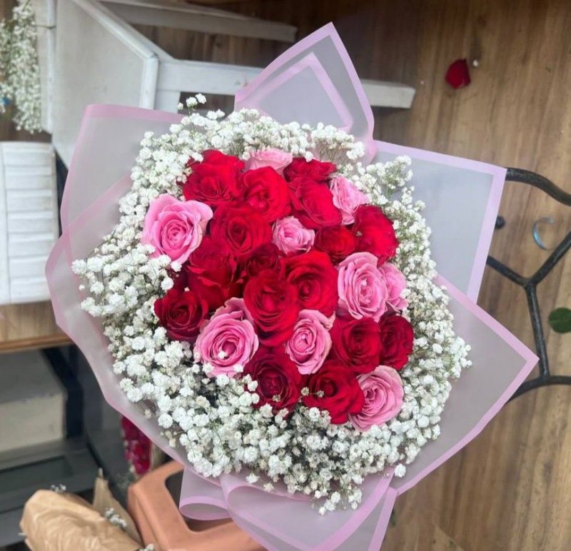 Roses Red and Pink and White Roses Red and Pink and White