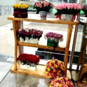 Shelf with various flower boxes .jpg