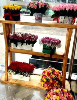 Shelf with various flower boxes .jpg