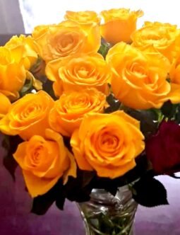 Yellow Roses