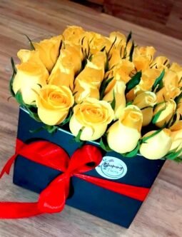 Yellow Roses