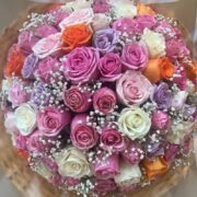orange , white, rose, pink and purport Roses 1