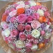 orange , white, rose, pink and purport Roses 2