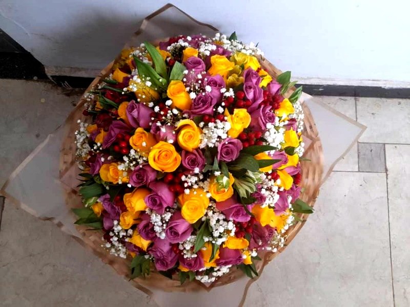 roses Yellow, purple, White flowers roses Yellow, purple, White flowers