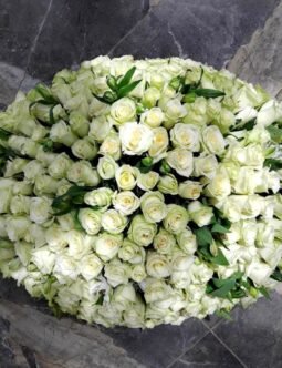 Eternal Peace-White Roses